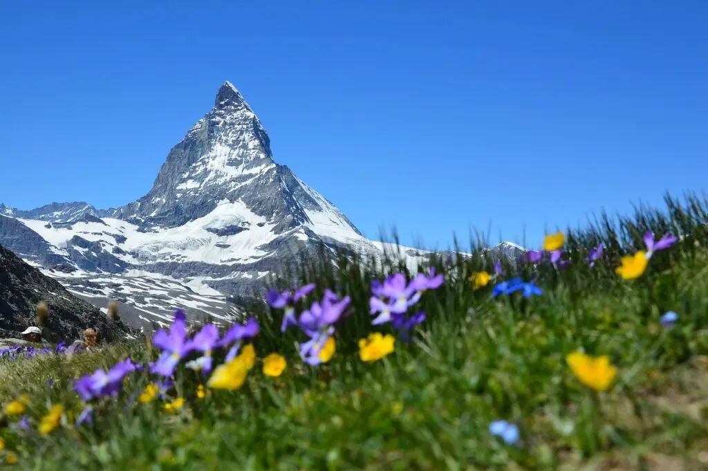 gva-to-alps-zermatt-in-the-spring