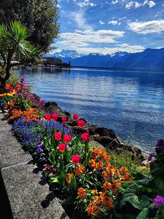 Colorful flower garden along Montreux Promenade with Lake Geneva and snow-capped Alps in the background